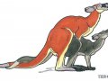 tor_118d_rude_roos_4.jpg